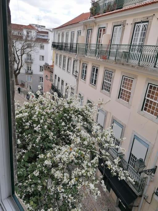 Lx Townhouse Ideal For Big Groups Prime Location Trendy Street Lisboa Exteriér fotografie